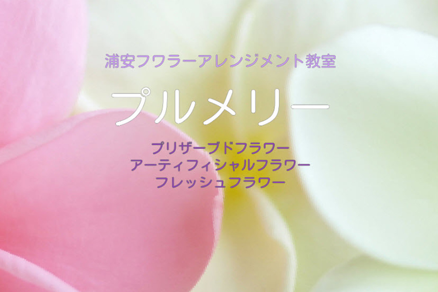 千葉浦安認定校 Plumerry