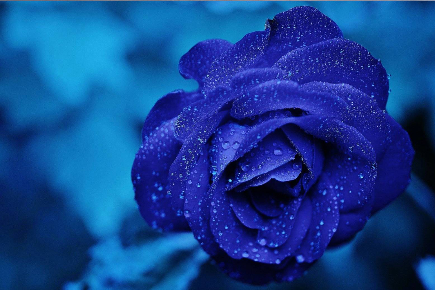 横浜瀬谷認定教室 アトリエcielcalm