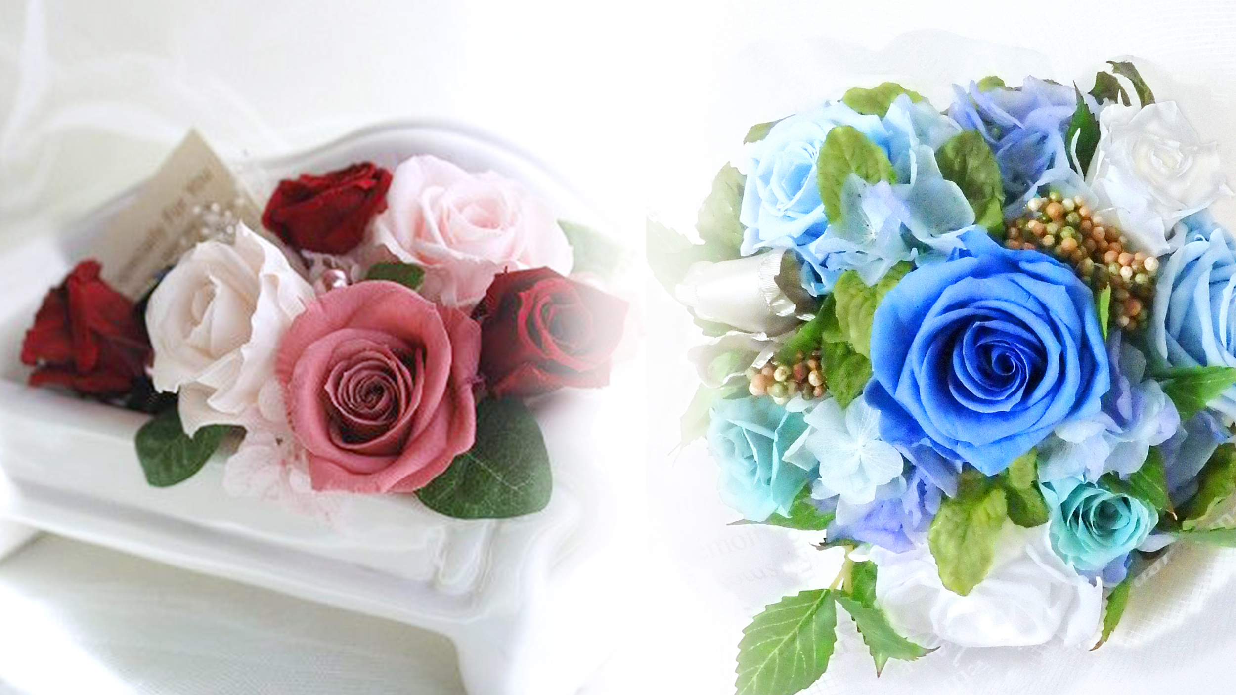 基礎から上級の方向けのコース